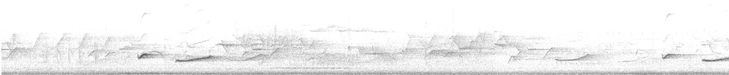 Horsfieldmausdrossling - ML644727631