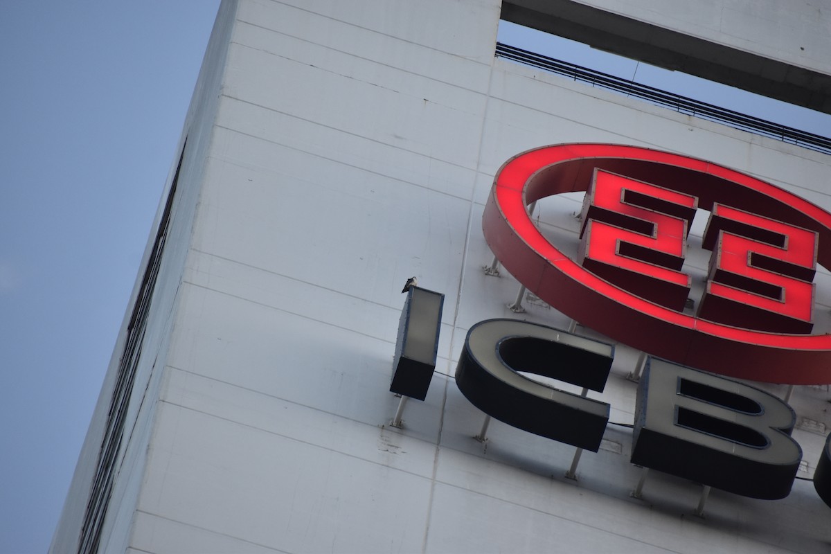 sokol stěhovavý - ML644728182