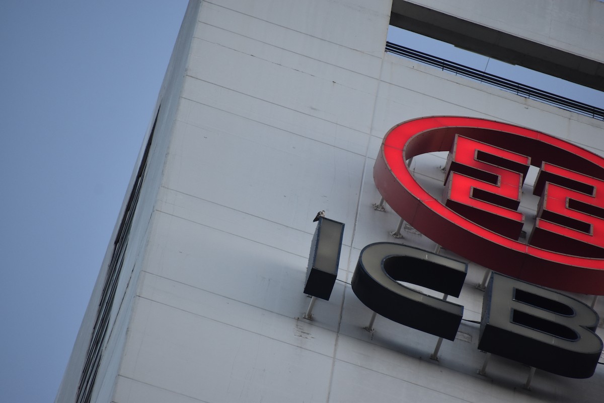 sokol stěhovavý - ML644728184