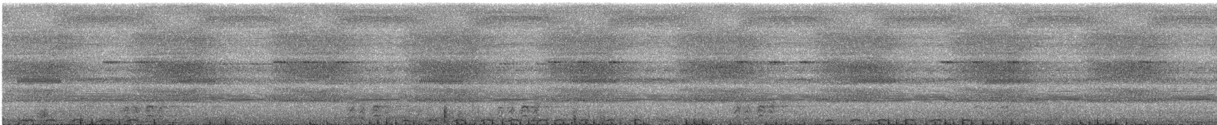 holub hnědořitý - ML644728212