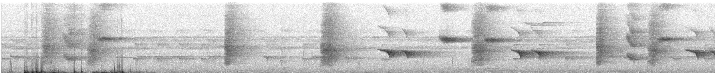 Hair-crested Drongo - ML644728269