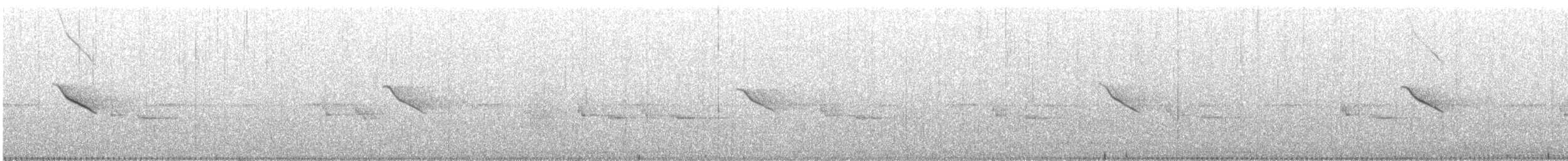 Sulawesi Myna - ML644728284