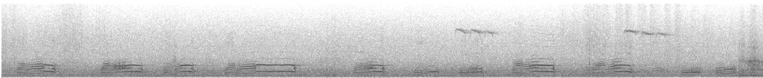 Lesser Black-backed Gull (taimyrensis) - ML644728331