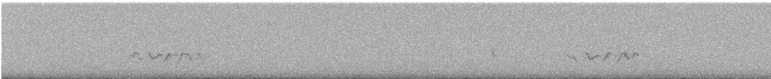 Taiwan Bush-Robin - ML644728421