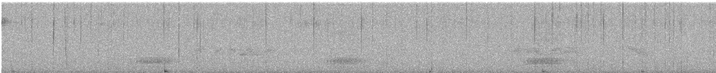 taiwanskvett - ML644729121