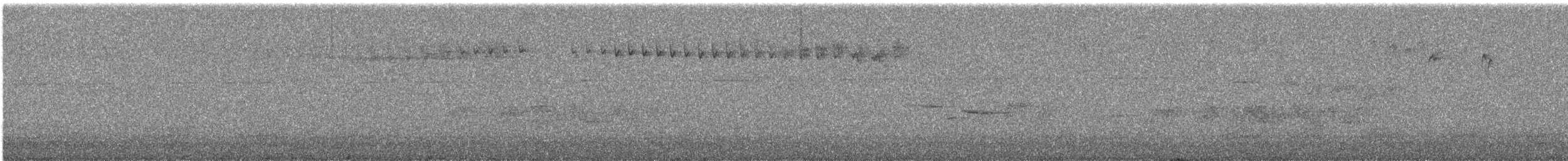 taiwanskvett - ML644729252