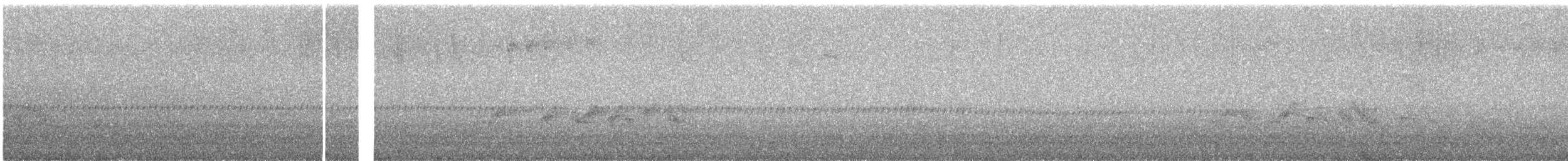 taiwanskvett - ML644729307