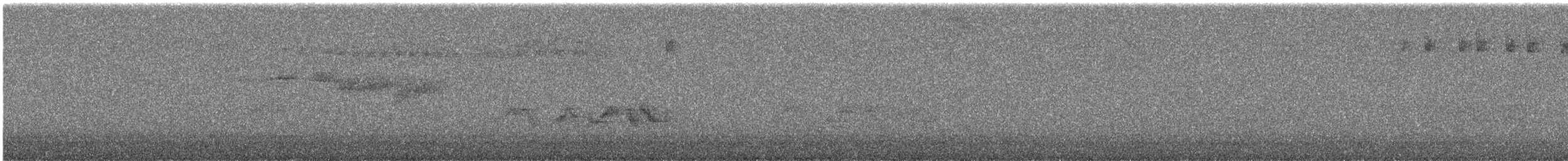 taiwanskvett - ML644729324