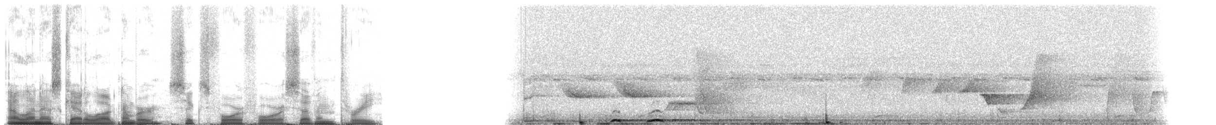 白喉林鴿 - ML64473