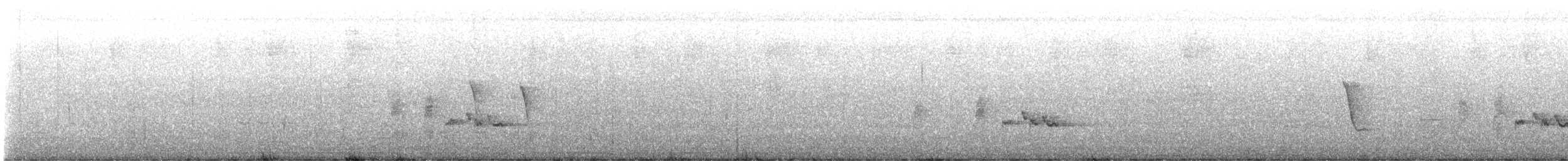 langstjertskredderfugl - ML644730812