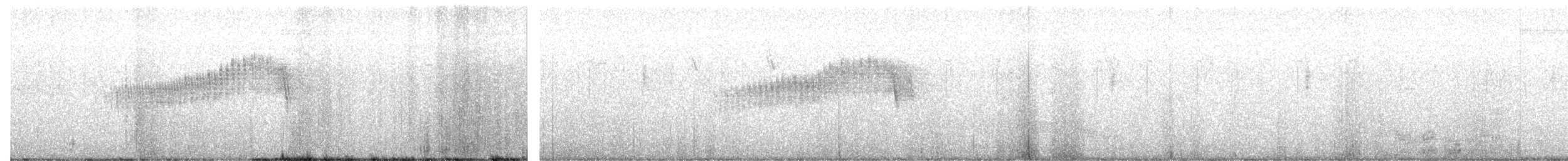 Tropical Parula - ML644730998