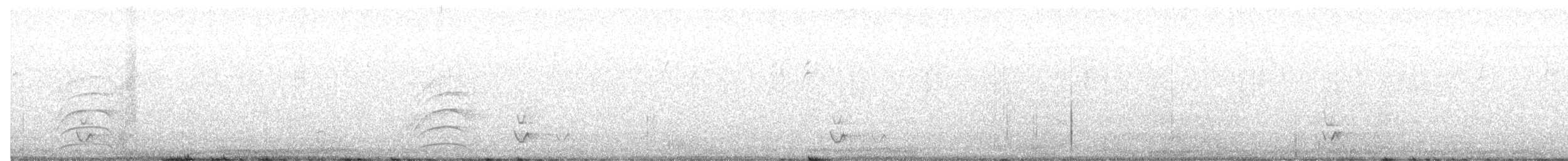 langnebbspottefugl - ML644731010