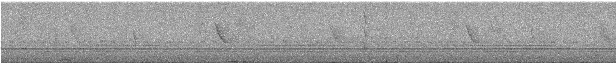 brynjeugle - ML644731211