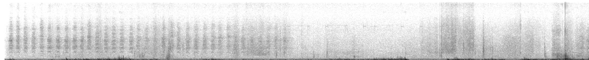 inkaskrike (luxuosus gr.) - ML644731289