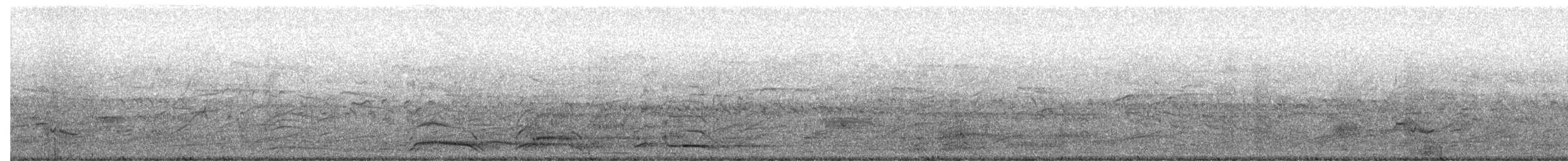 storstjerttrupial - ML644731641