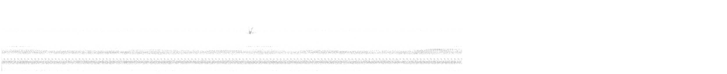 Chipping Sparrow - ML644731841