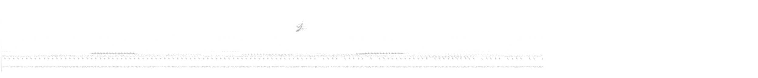 Белобровая овсянка - ML644731884