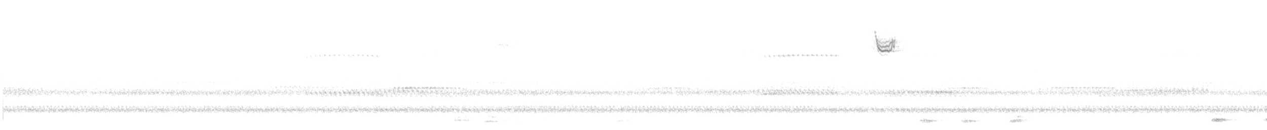 Chingolo Gorjiblanco - ML644731925