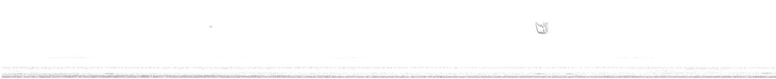 Chingolo Gorjiblanco - ML644731926