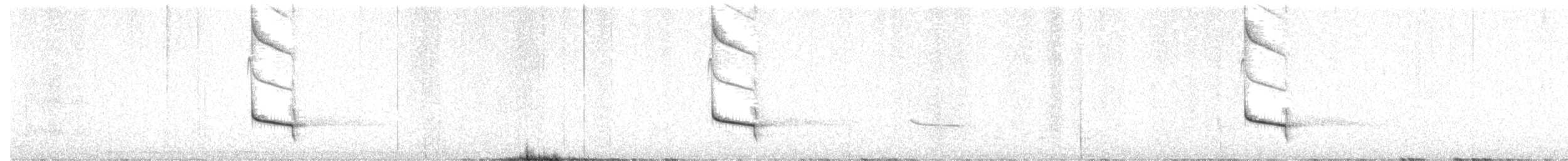 Boyaca Antpitta - ML644732132