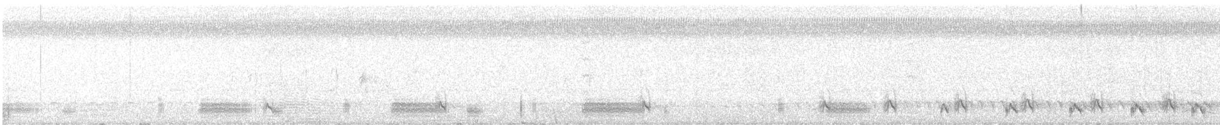 Mato Grosso Antbird - ML644732735