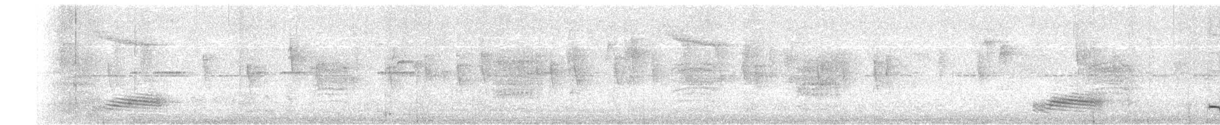 Ланцетохвостый манакин - ML644732973