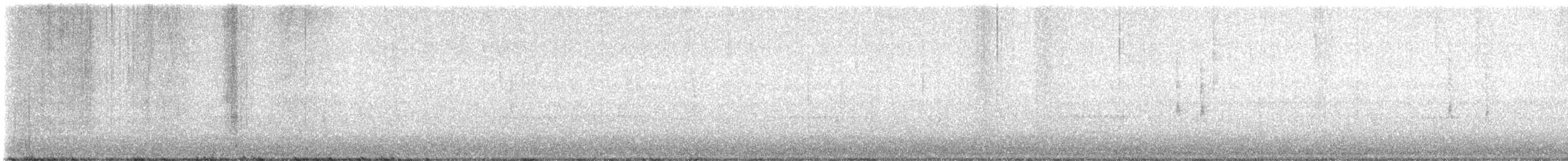 フユミソサザイ - ML644733312