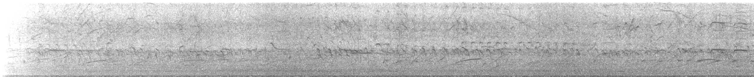 Great-tailed Grackle - ML644733474