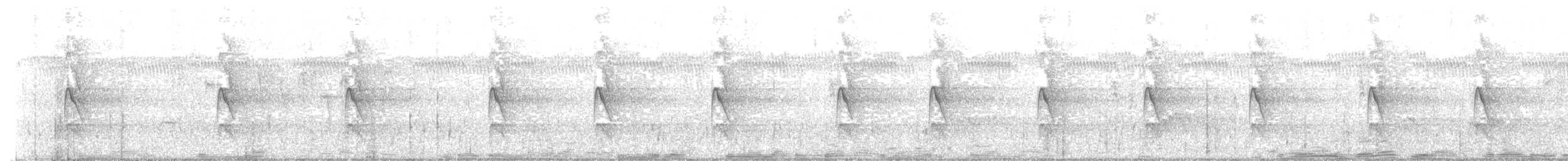 Gray-throated Barbet - ML644733504