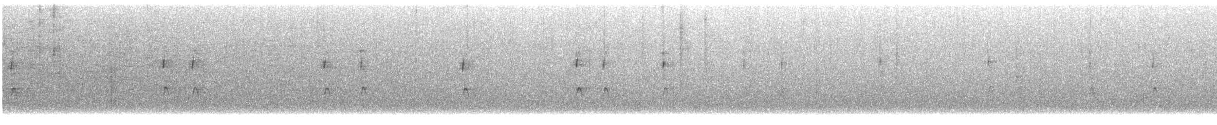 フユミソサザイ - ML644735840