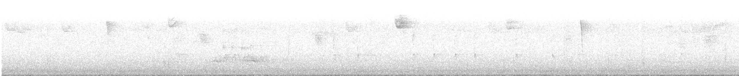 フユミソサザイ - ML644736375