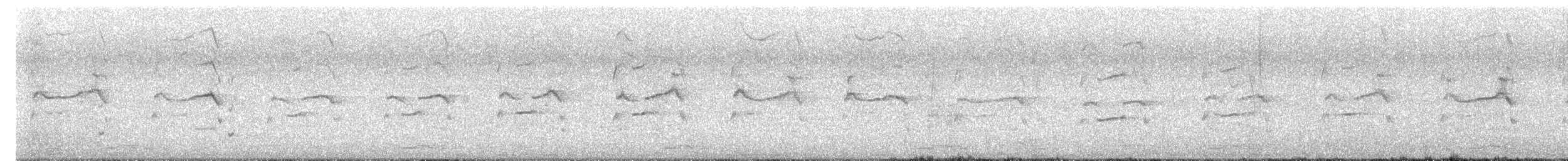 Balbuzard pêcheur (cristatus) - ML644736975