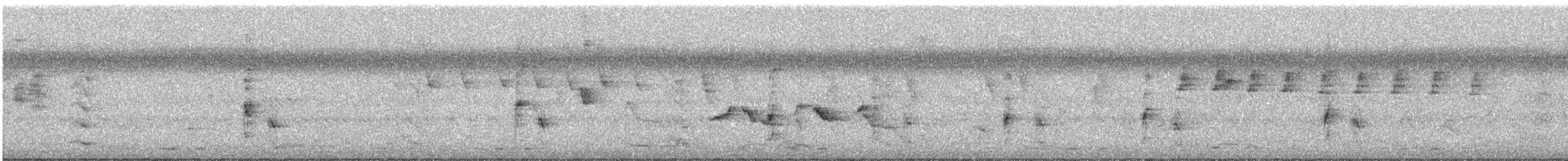 Sahul Sunbird - ML644737077