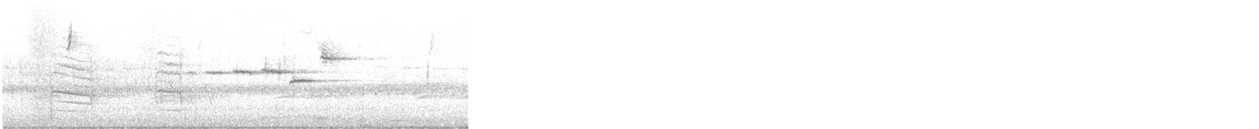 Black-throated Green Warbler - ML644737138