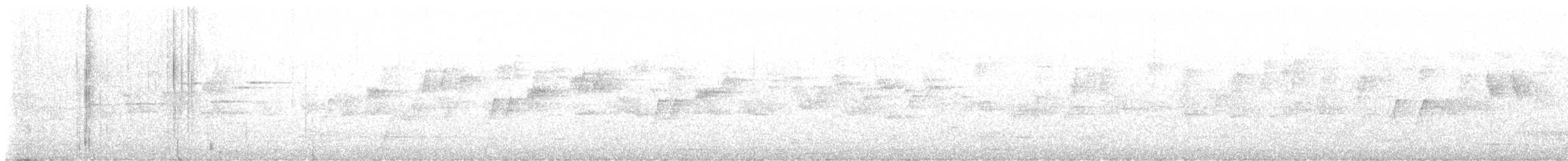 Rufous Scrub-bird - ML644738408