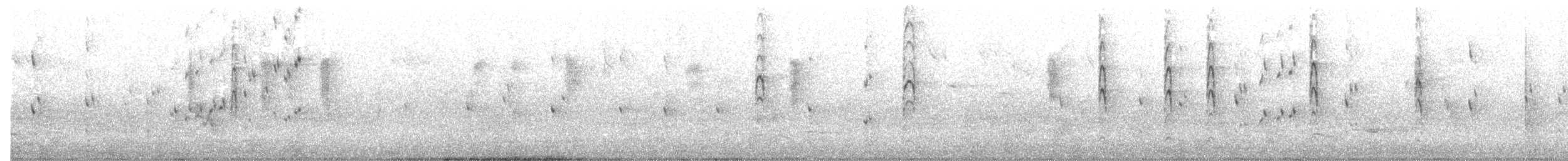 Gray Fantail (albiscapa) - ML644740262