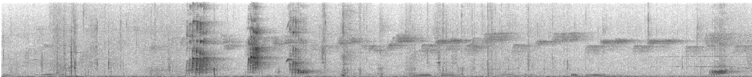 Albert's Lyrebird - ML644741139