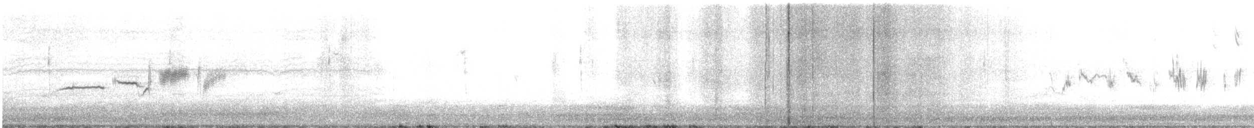 Белобровая овсянка (gambelii) - ML644741432