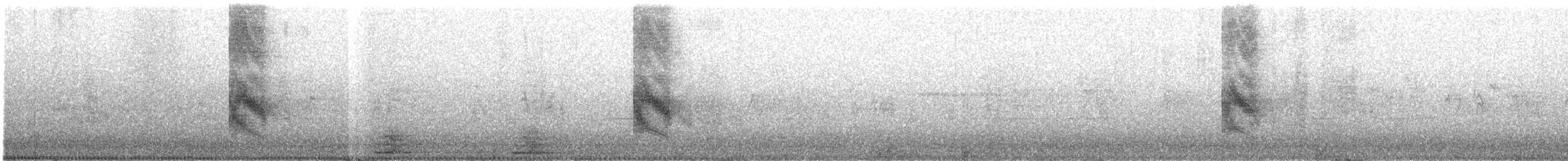 Kampo Taklitçisi - ML644741550