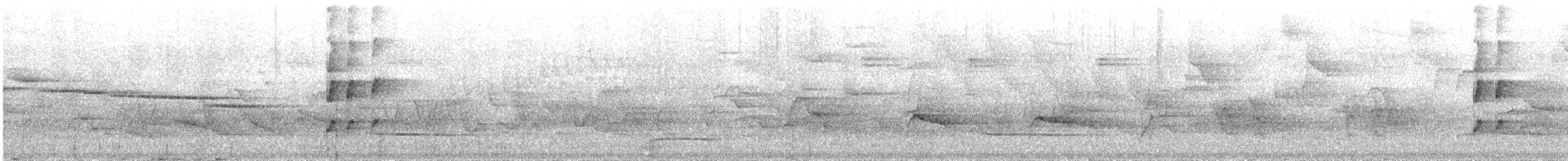 Todirostre à poitrine ombrée - ML644741815