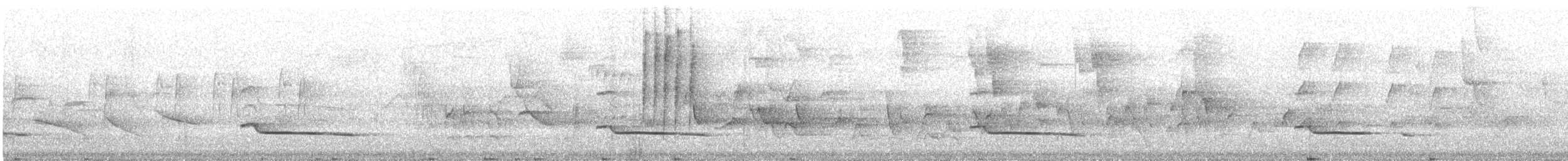 Attila à queue rousse - ML644741829