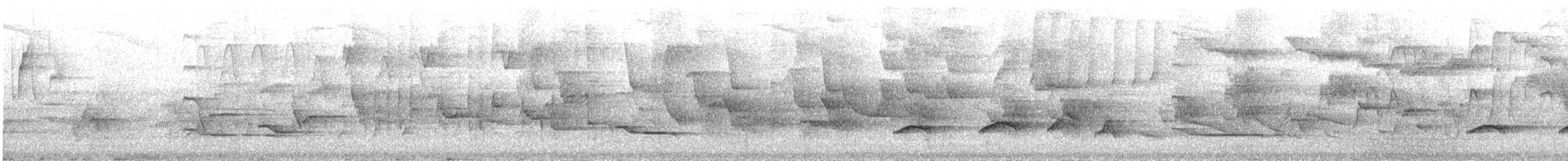 Attila à queue rousse - ML644741836