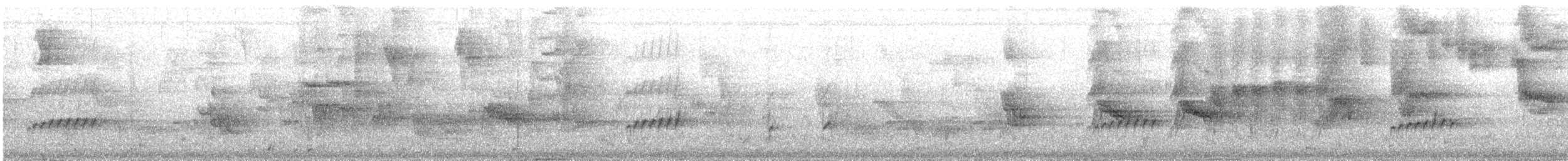 Eared Pygmy-Tyrant - ML644741842