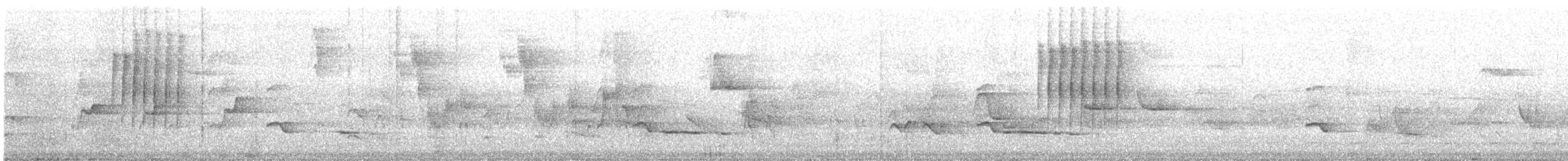 Squamate Antbird - ML644741850