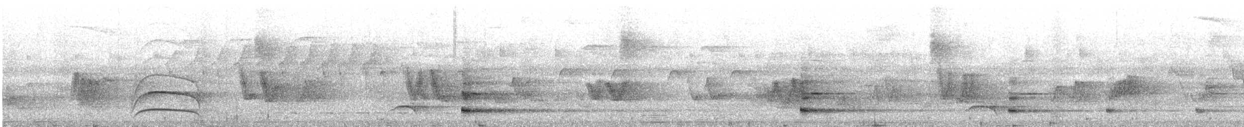 Bare-throated Bellbird - ML644741857