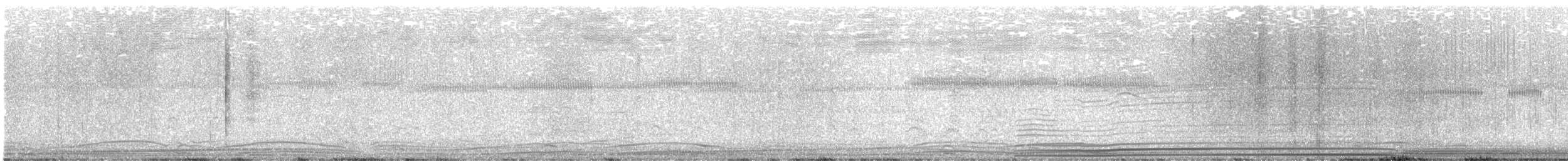 オナガミズナギドリ - ML644742853