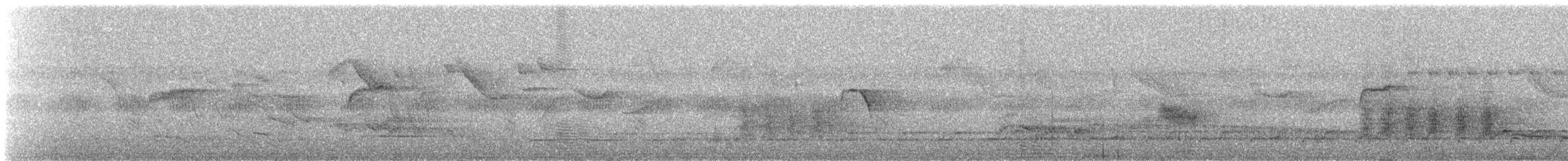 Barbacou unicolore - ML644743416