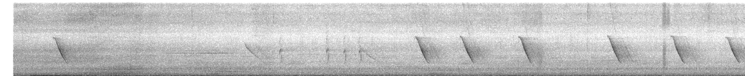 Couturière à longue queue - ML644743729