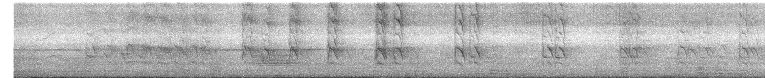 Rose-ringed Parakeet - ML644743898