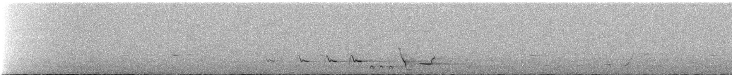 Gray Shrikethrush - ML644744630